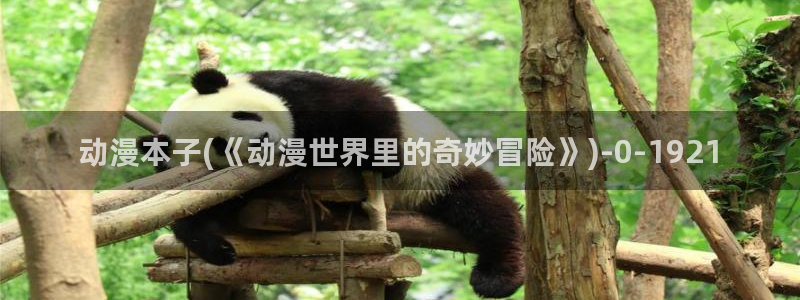 动漫人物图片大全:动漫本子(《动漫世界里的奇妙冒险》)